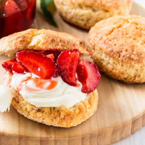 Producteurs de fraises et fruits rouges france dordogne-périgord recettes